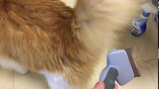 猫用フーリーのブラシを試してみた。とんでもない量の抜け毛が取れる！