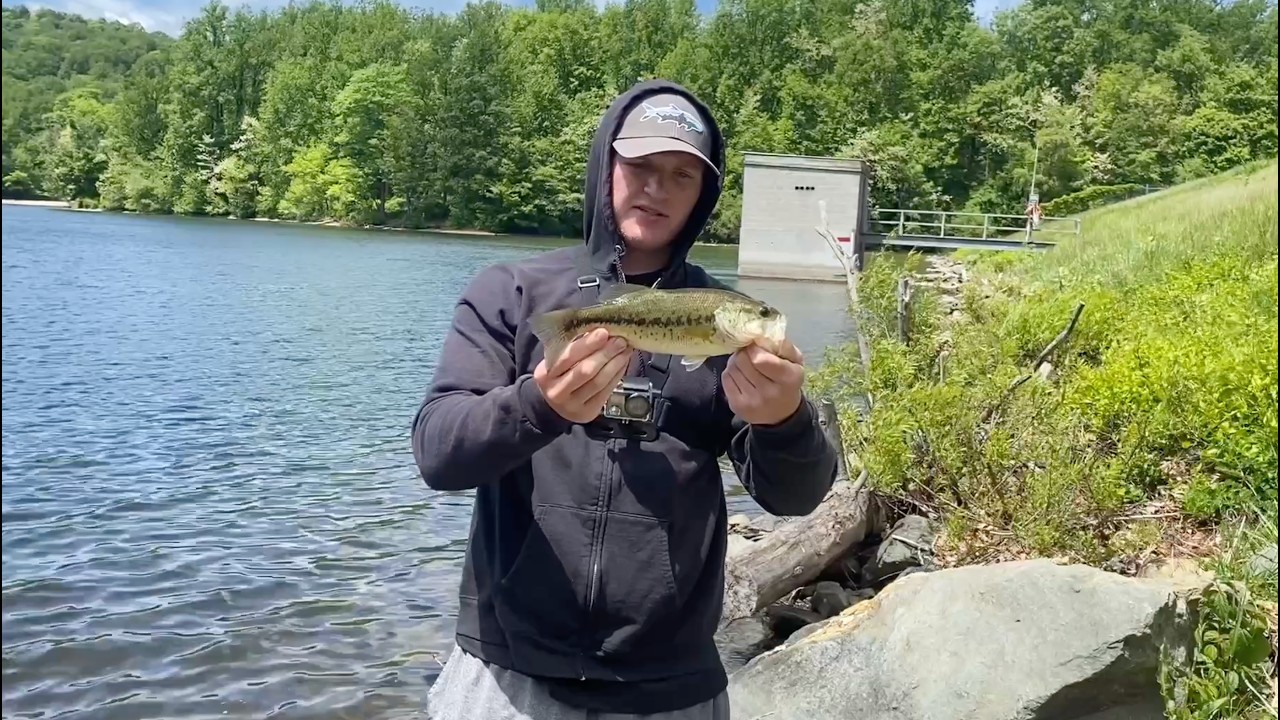 Bass Fishing Hunting Creek Lake | Cunningham Falls State Park (Thurmont, Maryland)