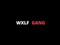 Young wxlf  wxlfgang prod sitka