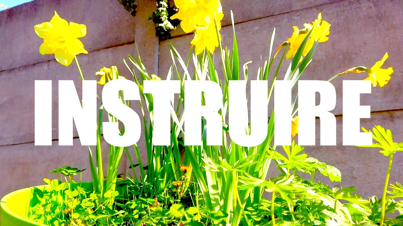 Pour ne pas oublier l'école