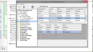 Famous Dynamic API's Handling in Delphi | UNDETECTED | vazermind.com Wealth
