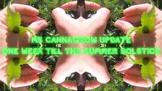 Grow Update one week before the summer solstice