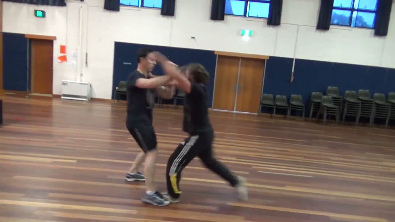 Wu Dao Gong Chinese Internal Kung Fu System – Free Style Self Defence against Grappling & Wrestling