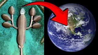 I Found Strange Place On Google Map