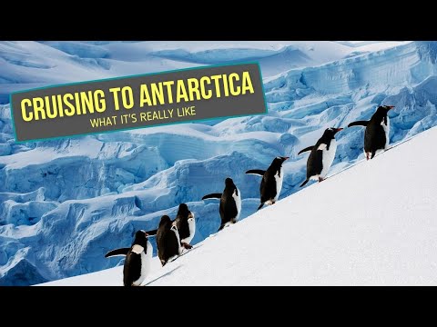 Cruise to ANTARCTICA: What's the Trip Really Like!