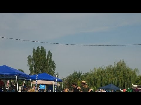 Horseless Rodeo Horseless Rodeo Family Fair - YouTube