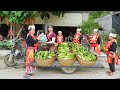 Use 3-Wheeled Truck To Harvest Many Delicious Cucumbers Goes To Sell For Villager