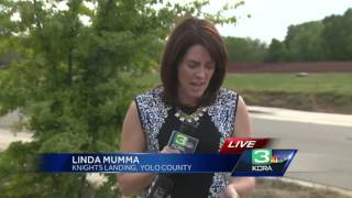 Friends, family gather to remember Baby Justice