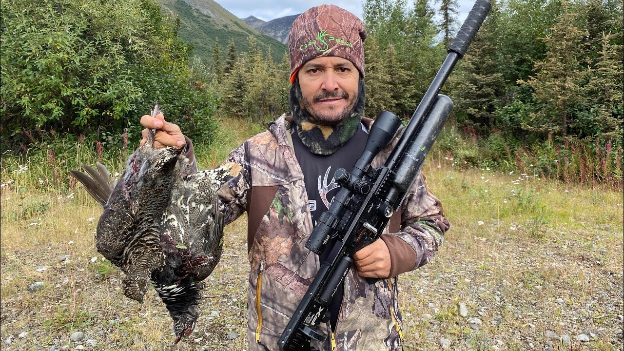 Gallos De Montaña David Madrid P2