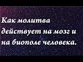 Как молитва действует на мозг и на биополе человека. Научные факты.