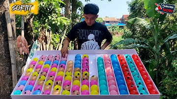 Brain Teaser Challenge – Sort All the Balls!