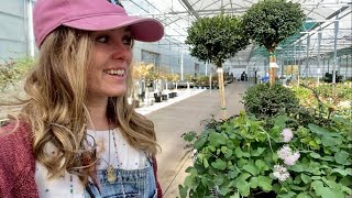 Loading Up on End Of Season Clearance at Countryside Greenhouse! $1, $5, $10 Perennials & Shrubs!