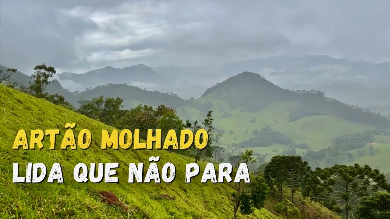É VIDA REAL - A FORÇA DE QUEM VIVE NAS MONTANHAS - ÁGUAS DE FEVEREIRO