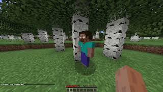 Celebrity How to launch minecraft hex 2 Profile