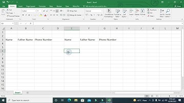MS Excel clipboard all Options |Clipboard Option in MS Excel All Option | The ALS Academy