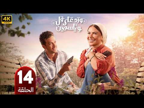 الحلقة 14
