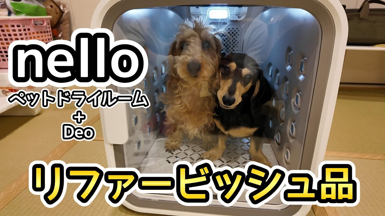 I bought a Nello pet drying room + Deo refurbished item and drying