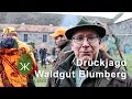 Drückjagd Waldgut Blumberg K&K Premium Jagd
