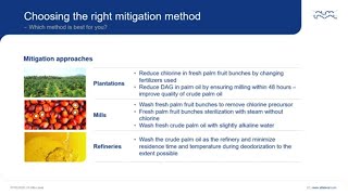 Webinar 3-Mcpd And Ge Mitigation Issues Explained Part 4 3Mcpd Mitigation Process