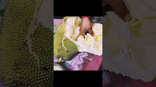 Jackfruit #food #shorts #yuotubeshorts #eating #jackfruit#shortvideo #jackfruitcutting #viralshorts