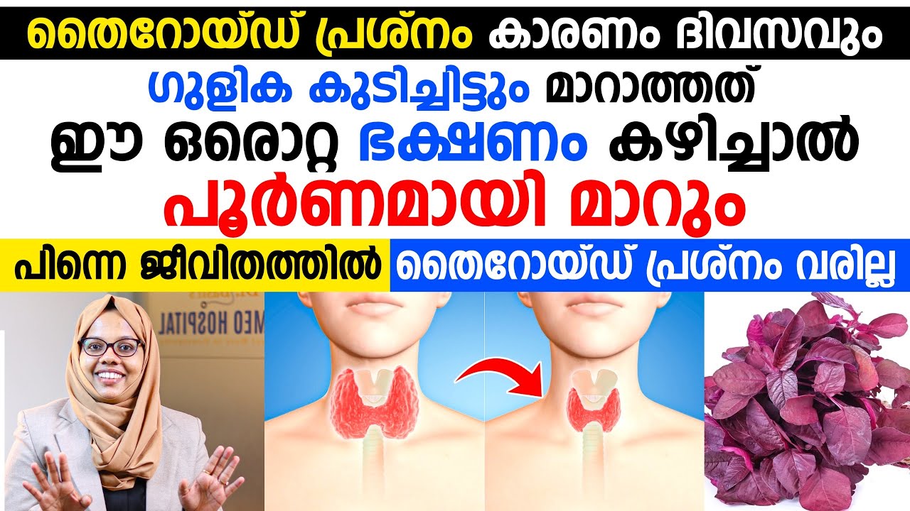 ദിവസവും ഗുളിക കുടിച്ച് മാറാത്ത തൈറോയ്ഡ് ഈ ഒരൊറ്റ ഭക്ഷണം കഴിച്ചാൽ പൂർണമായി മാറും