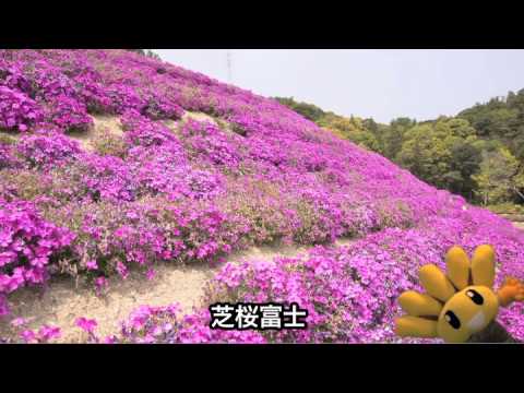 香川県東かがわ市観光PR映像（木と花篇）