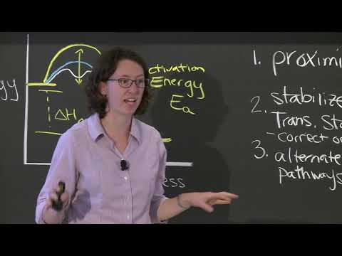 11. Catalase Part 1