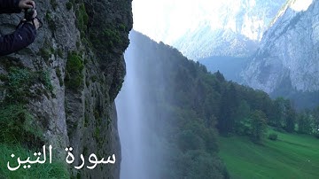 sourat tine سورة التين