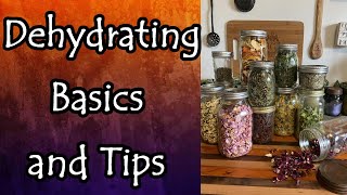 Dehydrating Basics: Times, Temps, Tips, and More