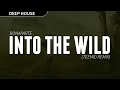 BONAPARTE - INTO THE WILD (Teemid Remix)