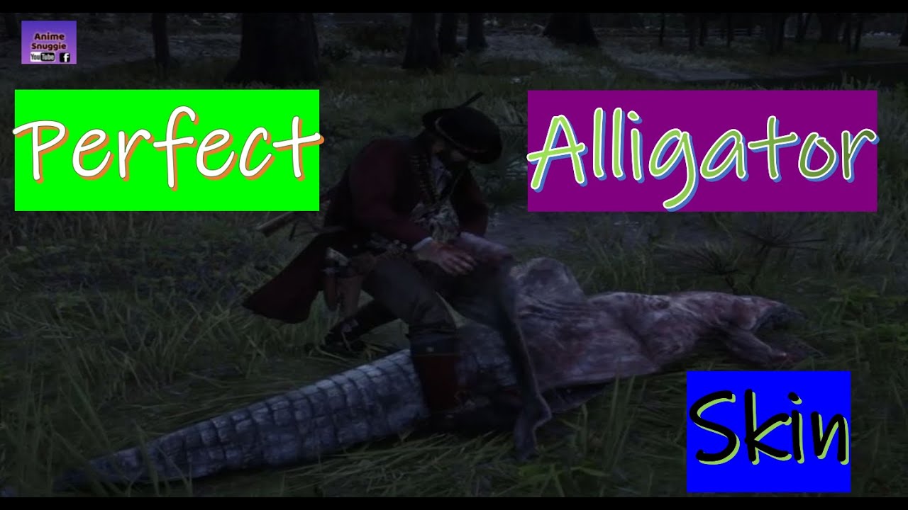 How To Get Perfect Alligator Skin Rdr2 How to Get Perfect Alligator Skin in Red Dead Redemption 2 l RDR 2 Fast
