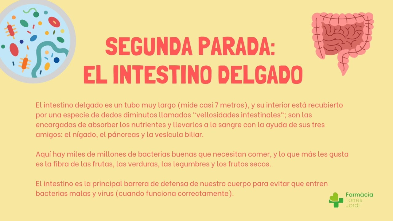 Librería Bibabuk on X: La nutricionista Blanca García-Orea Haro, autora  del éxito Dime qué comes y te diré qué bacterias tienes, nos presenta su  primer cuento infantil, una herramienta indispensable para trabajar