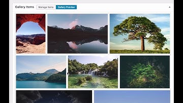 FooGallery WordPress Plugin - Instant Gallery Previews