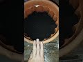#огурцы на балконе