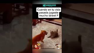 Cuando Eres Muy Fantico  fans gamer gracioso jaja