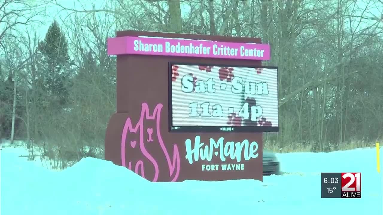 Humane Fort Wayne leader reacts to shelter taking in several dogs connected to alleged animal cru...