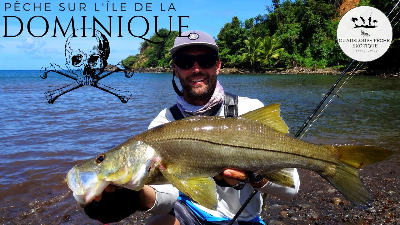 Pêche à La DOMINIQUE Fishing Dominica YouTube