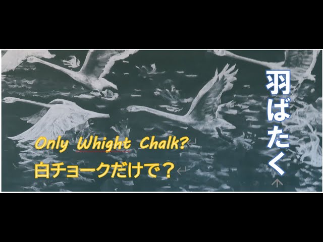 白鳥