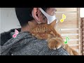 お出かけ阻止猫！絶対に抱っこから降りない猫がかわいい！