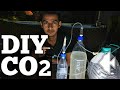 DIY CO2