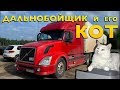 Купил VOLVO VNL за 800 000 рублей и поехал в первый рейс. Почему Эдик выбрал американца?