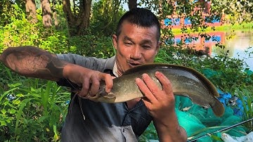 Tưởng xui ai dè phút chót cả bầy lao đến ăn sạch!