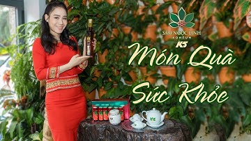 Sâm Ngọc Linh Kon Tum Món quà cho sức khỏe - Quốc Bảo Việt Nam