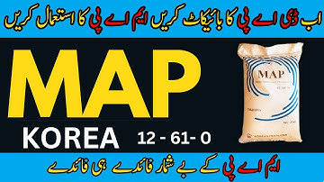 MAP most profitable against in DAP  | The benefits of MAP | Malik Hassan Agriculture