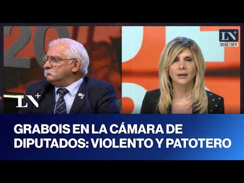Juan Grabois generó un escándalo en la Cámara de Diputados con agresiones verbales