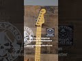 2020 Fender American Professional II Stratocaster $1449www.backyardguitarsfl.com #fenderusa