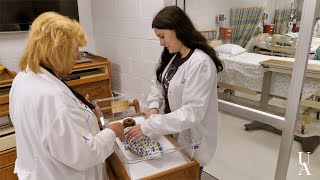 Accelerated Nursing Program