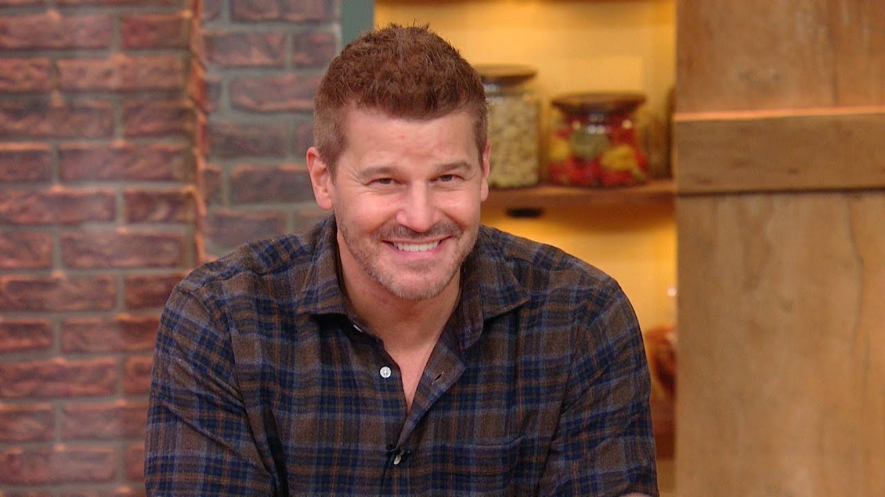 SEAL Team Star David Boreanaz Scared Family & Fans With Hockey Puck "Injury" On His Face | Rachael Ray Show