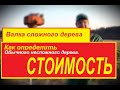 Как оценить обычное несложное дерево СПб. Валка деревьев СПб.