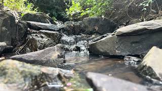 4K video of a river with soothing water and bird sounds. Ideal for sleeping, studying, or meditating